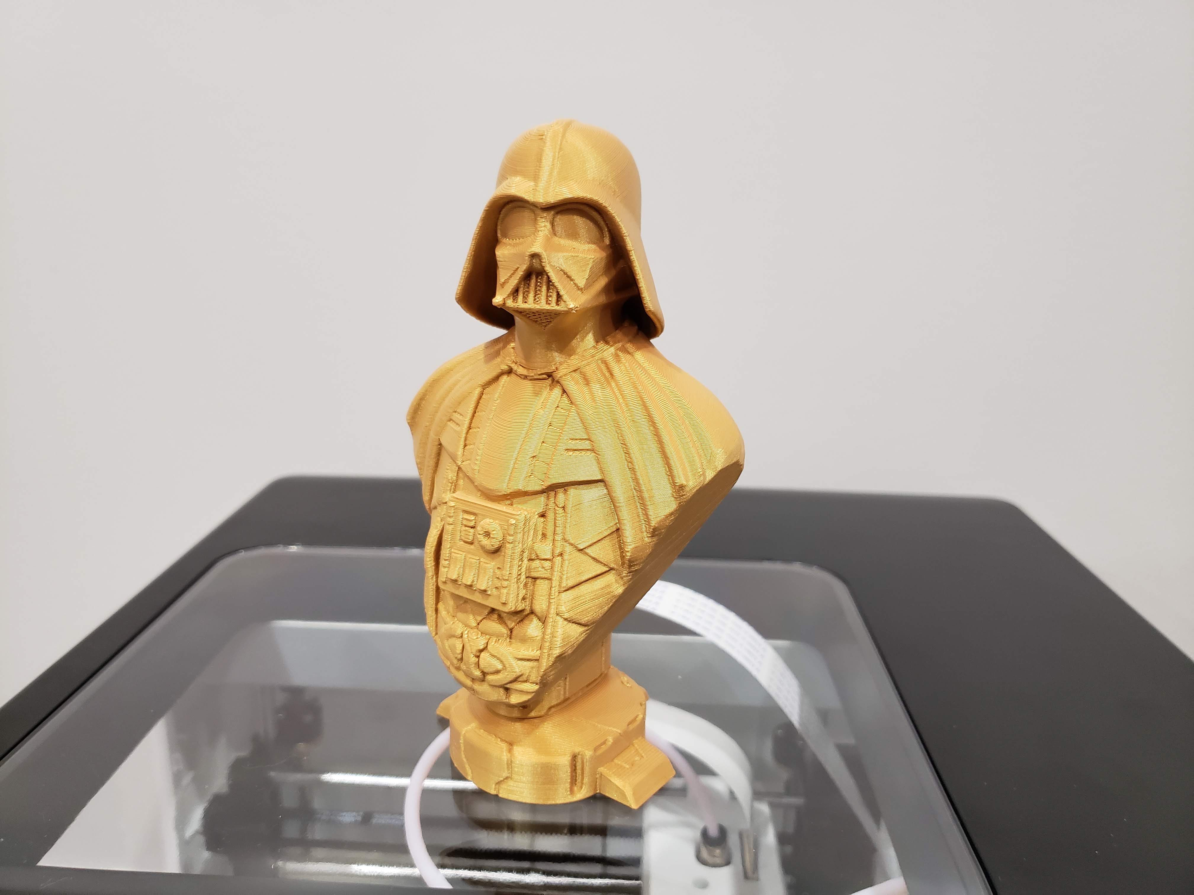 Darth Bust
