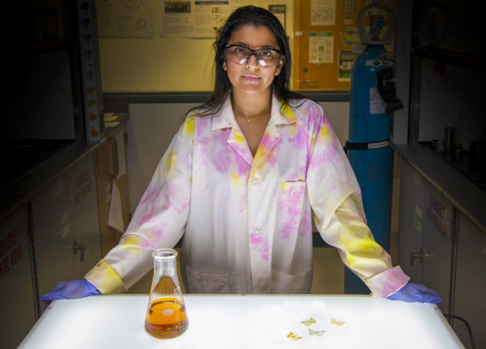 Researchers Recycle McDonald’s Deep Fryer Oil into Cheap, Biodegradable 3D Printing Material