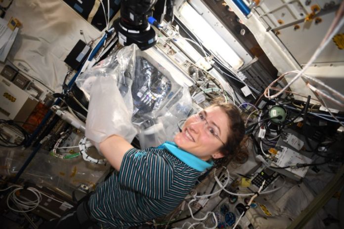 International Space Station gets new 3D Bioprinted supplies