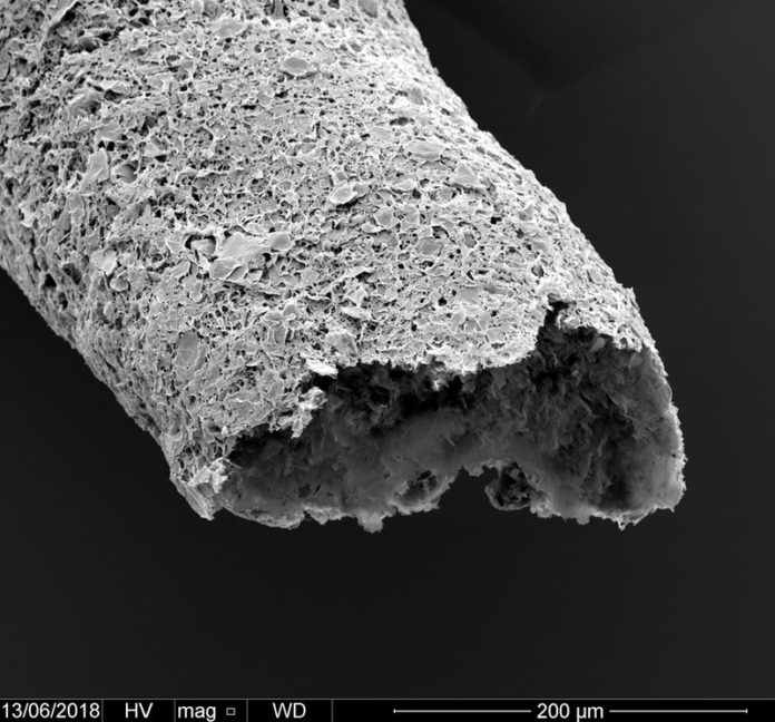New biomaterial enables 3D Printing of tissue-like vascular structures