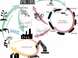 SUTD targets localized circular economy for green 3D printing materials