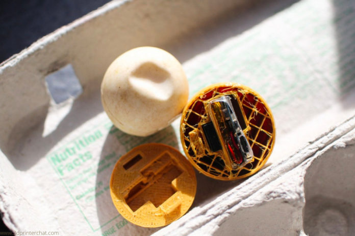 Inside look of an artificial turtle egg